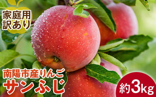 【令和7年産先行予約】 〈訳あり品 家庭用〉 りんご 「サン