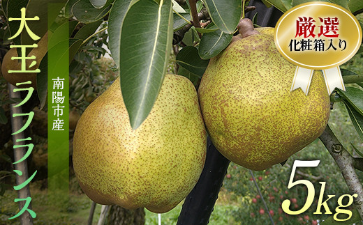 【令和7年産先行予約】 厳選！！大玉ラ・フランス 約5kg (10