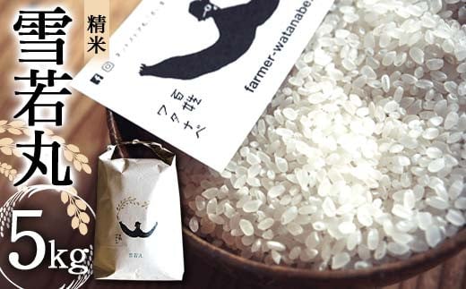 令和7年産 特別栽培米 雪若丸 (精米) 5kg 『最上園』 米 白米 