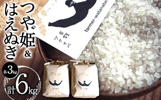令和7年産 特別栽培米 つや姫・はえぬき 各3kg (計6kg) 『最上