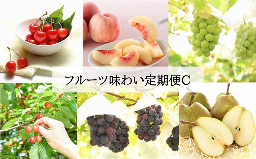 【令和7年産先行予約】 《定期便4回》 フルーツ味わい定期