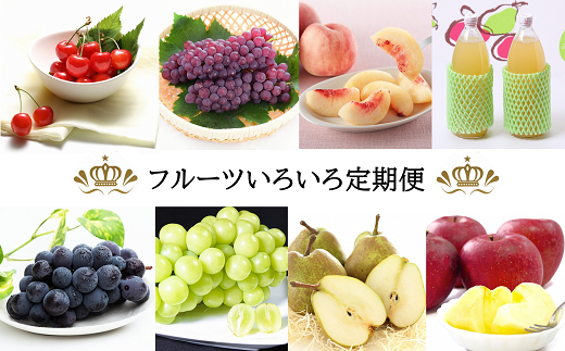 【令和7年産先行予約】 《定期便10回》 旬のフルーツいろい