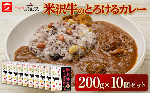 米沢牛のとろけるカレー (200g×10個セット) 『スパイスキッ