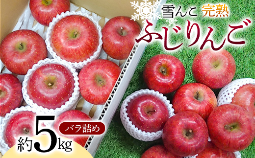 【令和7年産先行予約】 雪んこ 完熟ふじりんご 約5kg バラ詰