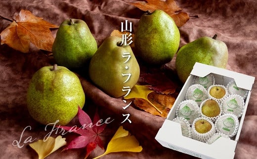 【令和7年産先行予約】 ラ・フランス 化粧箱入 約3kg (8～12