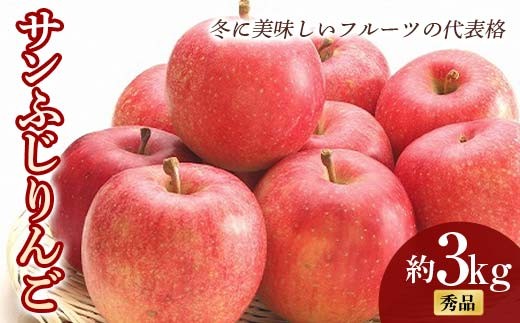 【令和8年産先行予約】 サンふじりんご 約3kg (6～14玉 秀) 《
