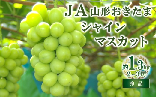 【令和8年産先行予約】 JA シャインマスカット 約1.3kg (2～3