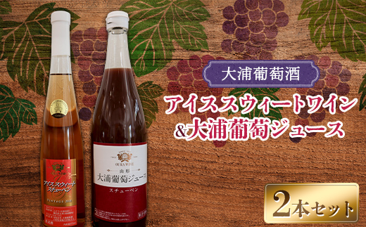 大浦葡萄酒 スチューベンセット 「アイススウィートワイン
