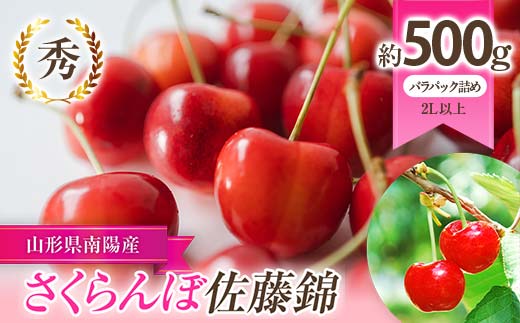 【令和8年産先行予約】 さくらんぼ 「佐藤錦」 約500g (秀 2L