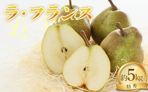 【令和7年産先行予約】 ラ・フランス 約5kg (14～16玉 特秀 3