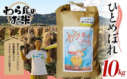 【わら屋のお米】 令和7年産 特別栽培米 ひとめぼれ 10kg 『
