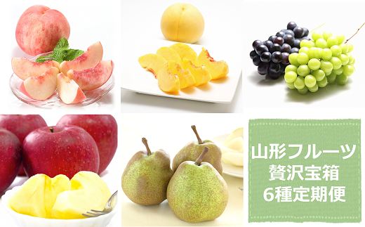 【令和7年産先行予約】 《定期便3回》 山形フルーツ贅沢宝