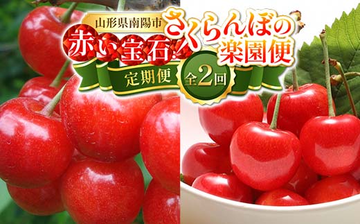 【令和8年産先行予約】 《定期便2回》 赤い宝石！さくらん