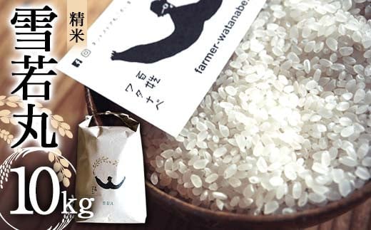 令和7年産 特別栽培米 雪若丸 (精米) 10kg 『最上園』 米 白米