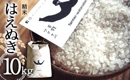 令和7年産 はえぬき (精米) 10kg 『最上園』 米 白米 ご飯 農