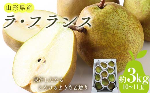 【令和7年産先行予約】 ラ・フランス 約3kg (10～11玉 秀 3L以