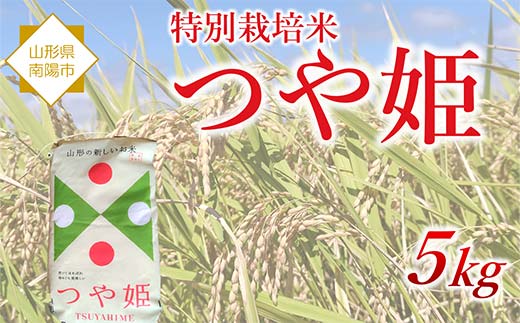 令和7年産 特別栽培米 つや姫 5kg 『松田観光果樹園』 山形