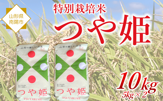 令和7年産 特別栽培米 つや姫 10kg 『松田観光果樹園』 山形