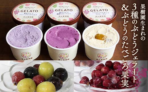 果樹園生まれの 「3種のぶどうジェラート ＆ ぶどうのたべ