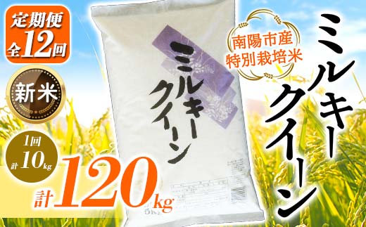 【令和7年産 新米 先行予約】【金賞受賞農家】《定期便12回