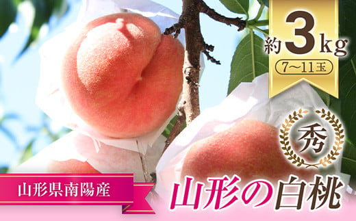 【令和8年産先行予約】 もも「川中島・あかつき・まどか 