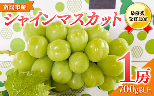 【令和8年産先行予約】 【山形県ぶどう品評会 最優秀賞受