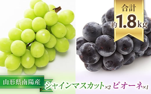 【令和8年産先行予約】 シャインマスカット 2房 ＋ ピオー