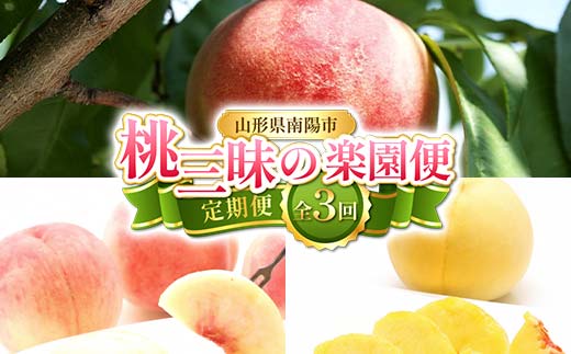 【令和8年産先行予約】 《定期便3回》 桃三昧の楽園便 『フ