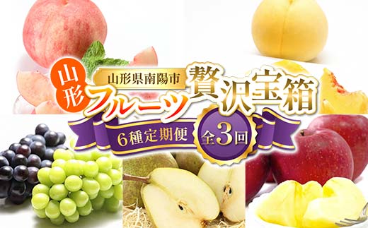 【令和8年産先行予約】 《定期便3回》 山形フルーツ贅沢宝
