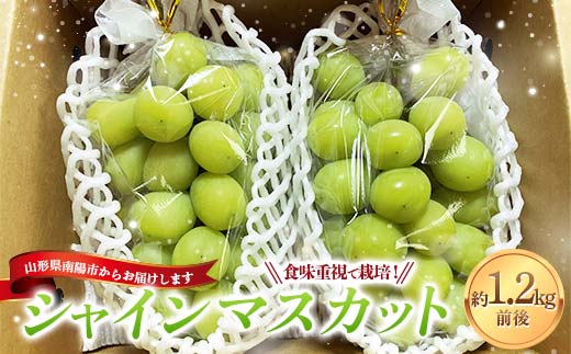 【令和8年産先行予約】 シャインマスカット 1.2kg前後 (2房入