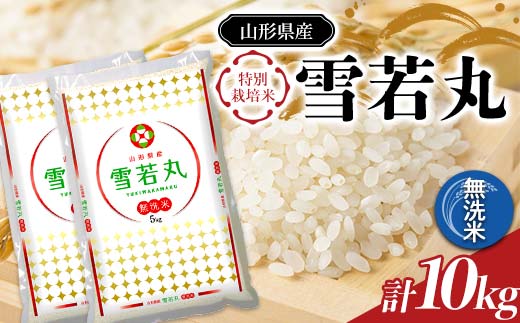 【令和7年産】 JA 無洗米 雪若丸 10kg (5kg×2袋) 『JA山形おきた