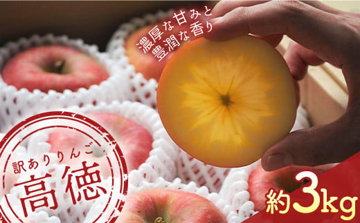 【令和7年産先行予約】 〈訳あり品 家庭用〉 りんご 「高徳