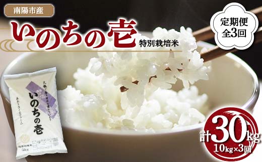 【金賞受賞農家】 《定期便3回》 令和7年産 特別栽培米 い