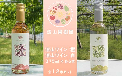 果樹園生まれの 漆山果樹園ワイン 「漆山ワイン (デラウェ