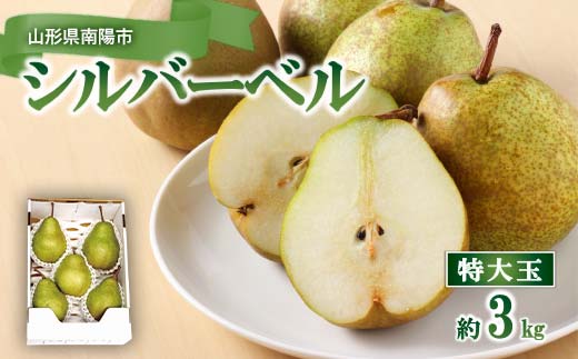 特大玉 シルバーベル 約3kg (4～5玉 特秀) 『田中農園』 西洋