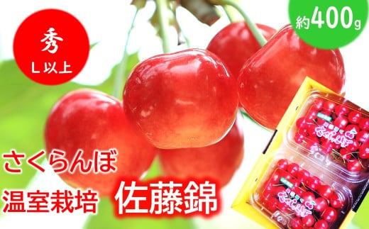 【令和8年産先行予約】 温室さくらんぼ 「佐藤錦」 約400g (