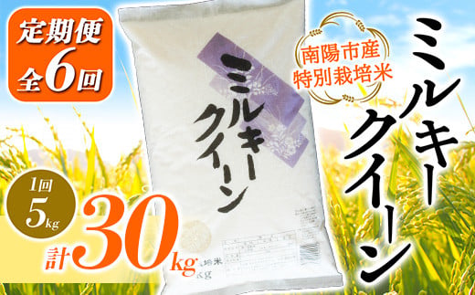 【金賞受賞農家】 《定期便6回》 令和7年産 特別栽培米 ミ