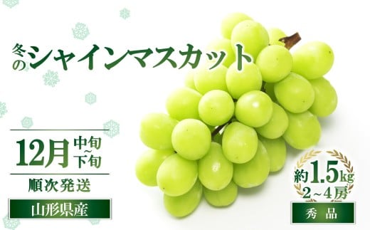 【令和8年産先行予約】 JA 冬のシャインマスカット 約1.5kg (2