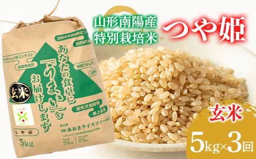【金賞受賞農家】 《定期便3回》 令和7年産 特別栽培米 つ