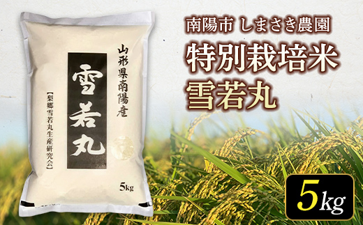 【米食味コンクール金賞受賞農園】令和7年産 特別栽培米 