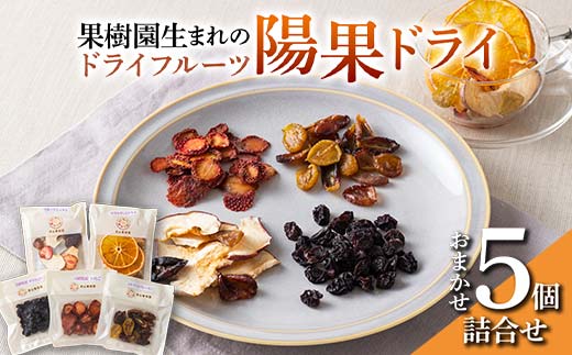 果樹園生まれの ドライフルーツ 「陽果ドライ」 おまかせ5