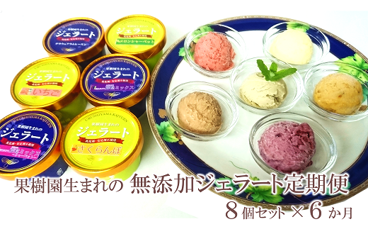 《定期便6回》 果樹園生まれの 無添加ジェラート 8個セット