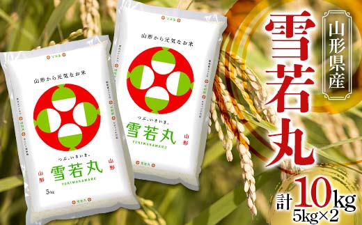 【令和7年産】 JA 雪若丸 10kg (5kg×2袋) 『JA山形おきたま』 山