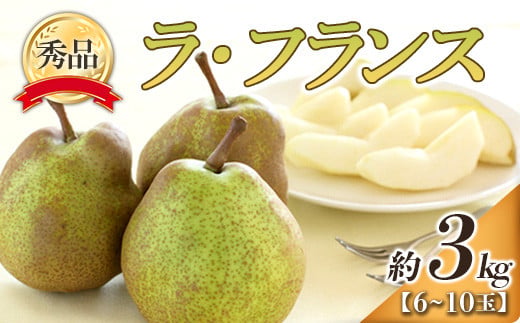 【令和7年産先行予約】 ラ・フランス 約3kg (6～10玉 秀) 《令