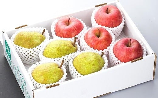 【令和8年産先行予約】 JA ラ・フランス と ふじリンゴ の詰