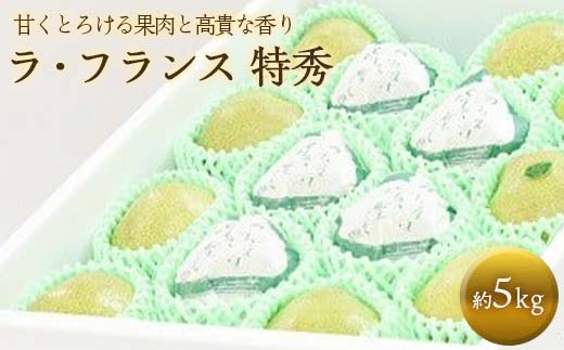 【令和7年産先行予約】 十三代目 佐藤市右衛門 ラ・フラン