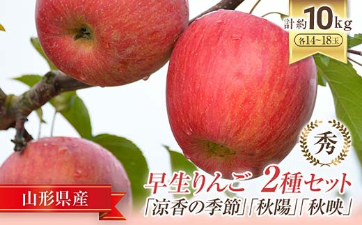 【令和7年産先行予約】 JA 早生りんご 2種セット 「涼香の季