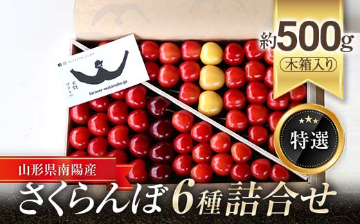 【令和8年産先行予約】 さくらんぼ 6種詰合せ 約500g (特選