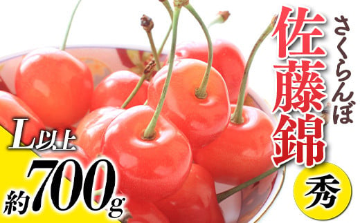 【令和8年産先行予約】 さくらんぼ 「佐藤錦」 約700g (秀 L