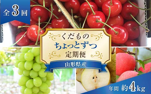 [令和6年産先行予約] [定期便3回] くだもの"ちょっとずつ"定期便 『南陽中央青果市場』 山形県 南陽市 [1013-R6]